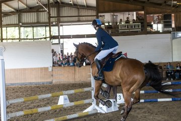 Bild 69 - Pony Akademie Turnier